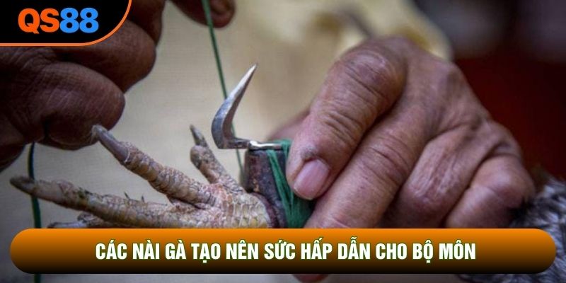 Các nài gà tạo nên sức hấp dẫn cho bộ môn