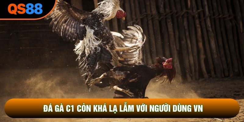 Đá gà C1 còn khá lạ lẫm với người dùng VN