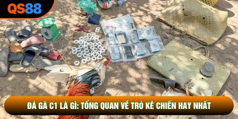 Đá Gà C1 Là Gì: Tổng Quan Về Trò Kê Chiến Hay Nhất Hiện Nay