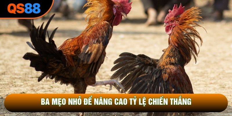Ba mẹo nhỏ để nâng cao tỷ lệ chiến thắng