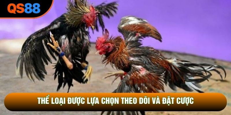 Thể loại được lựa chọn theo dõi và đặt cược