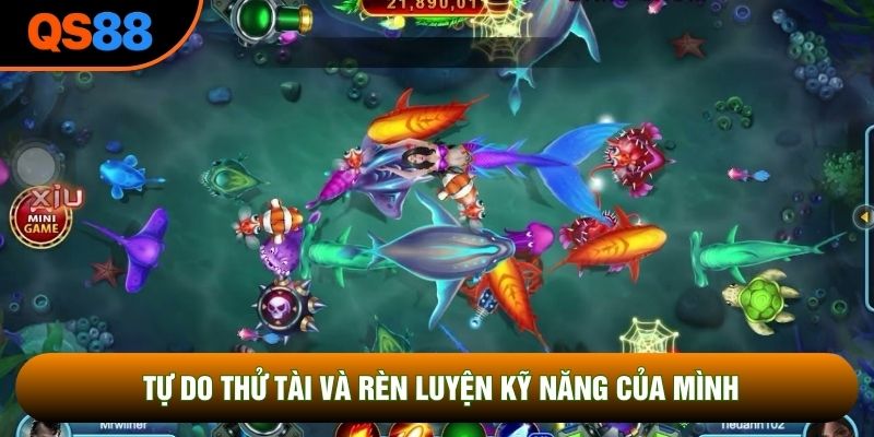 Tự do thử tài và rèn luyện kỹ năng của mình