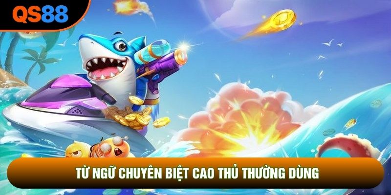 Từ ngữ chuyên biệt cao thủ thường dùng